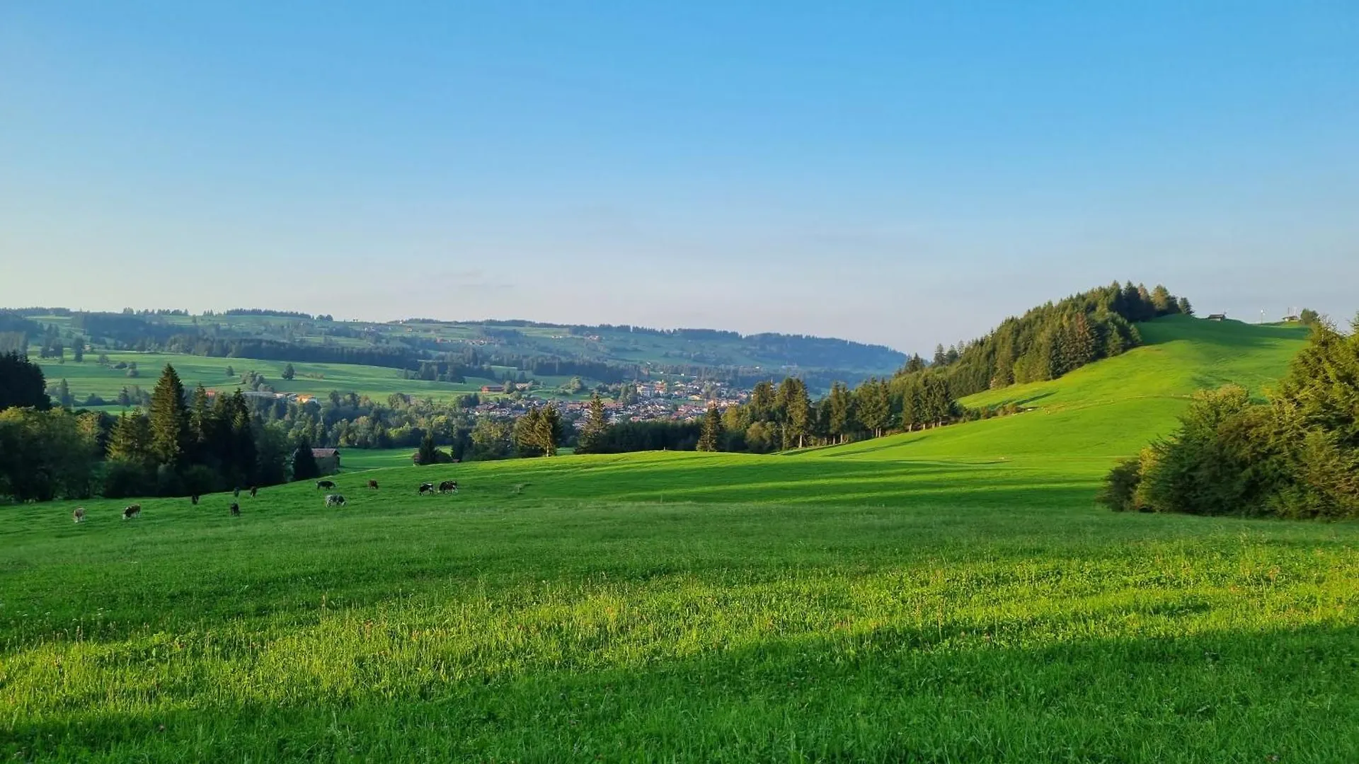Wertacher Hoernleblick Tyskland