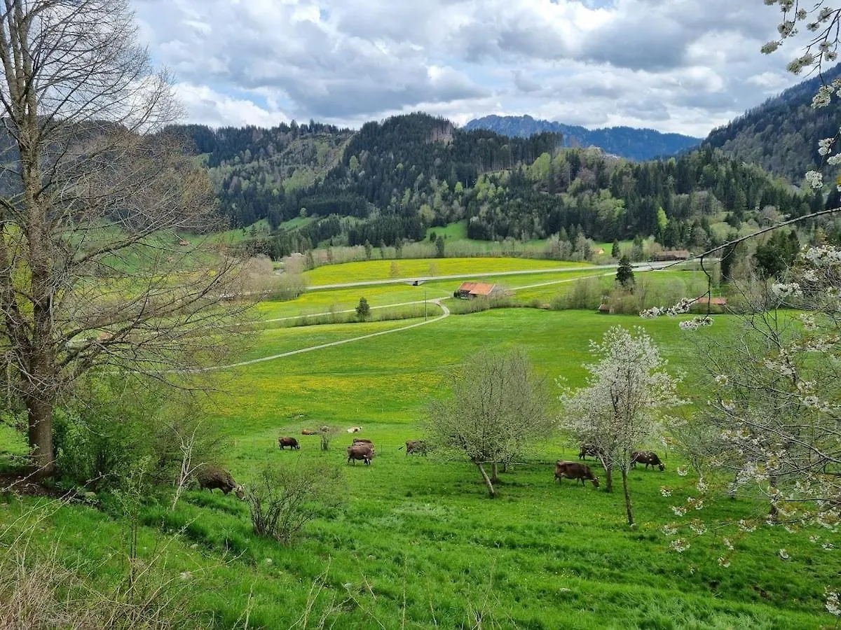 Lägenhet Wertacher Hoernleblick